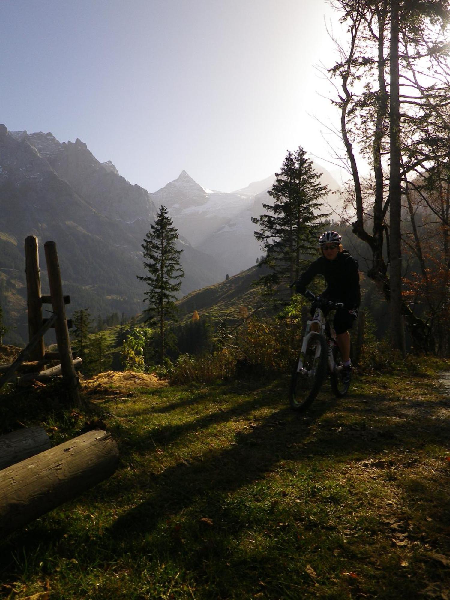 Alpenlodge * Willigen