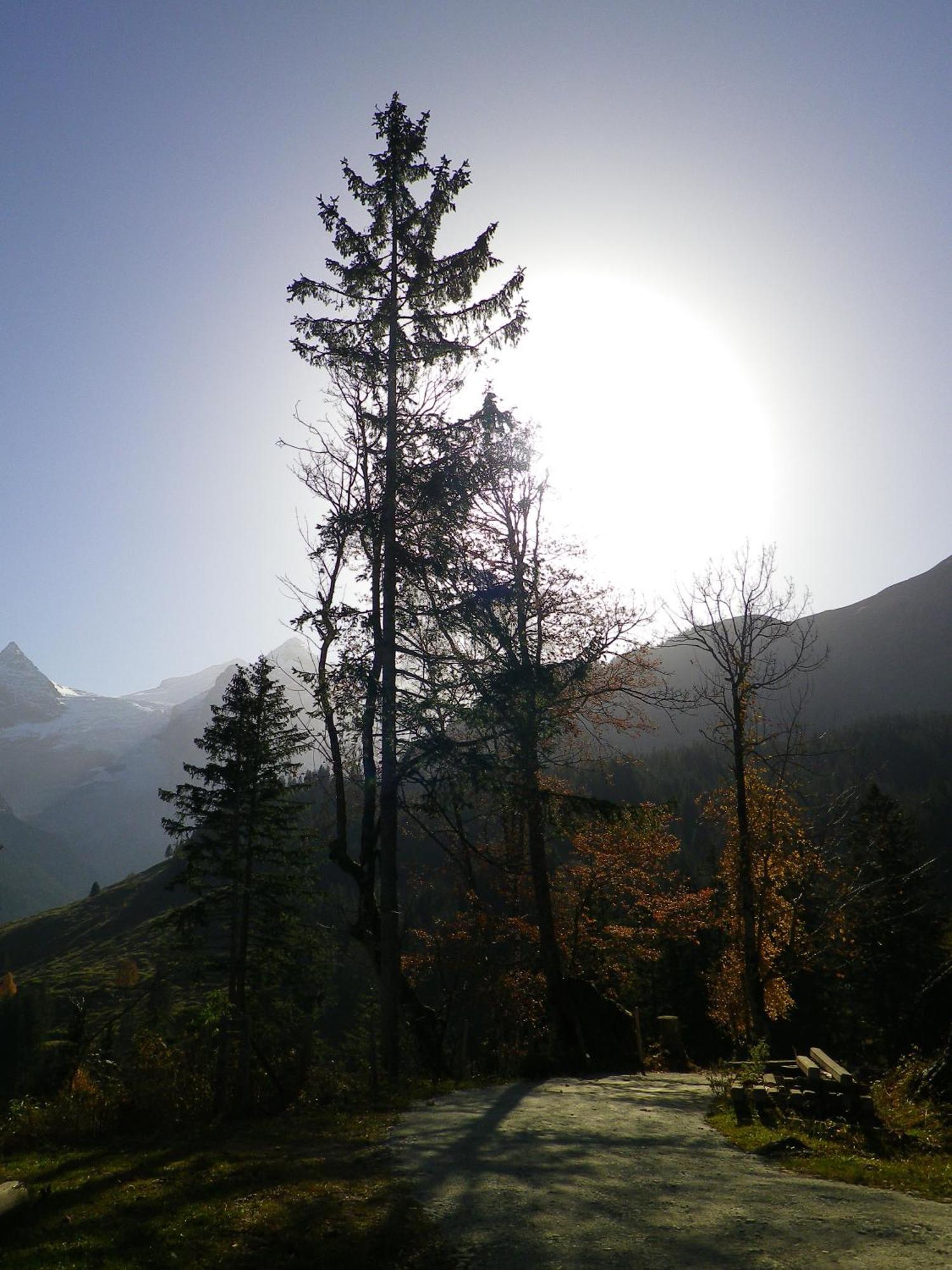 Alpenlodge *