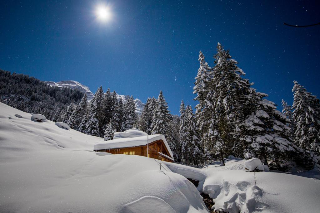 Alpenlodge Chalet *