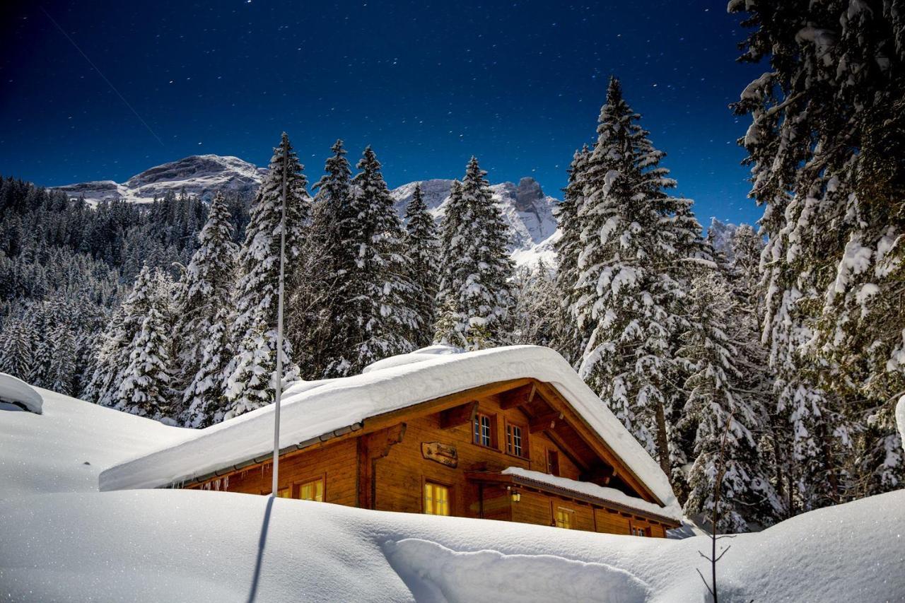 Alpenlodge Willigen