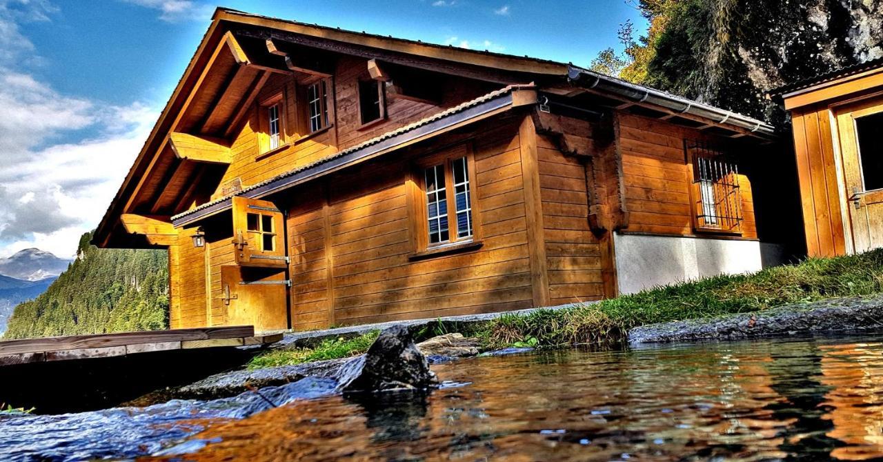 Chalet Alpenlodge