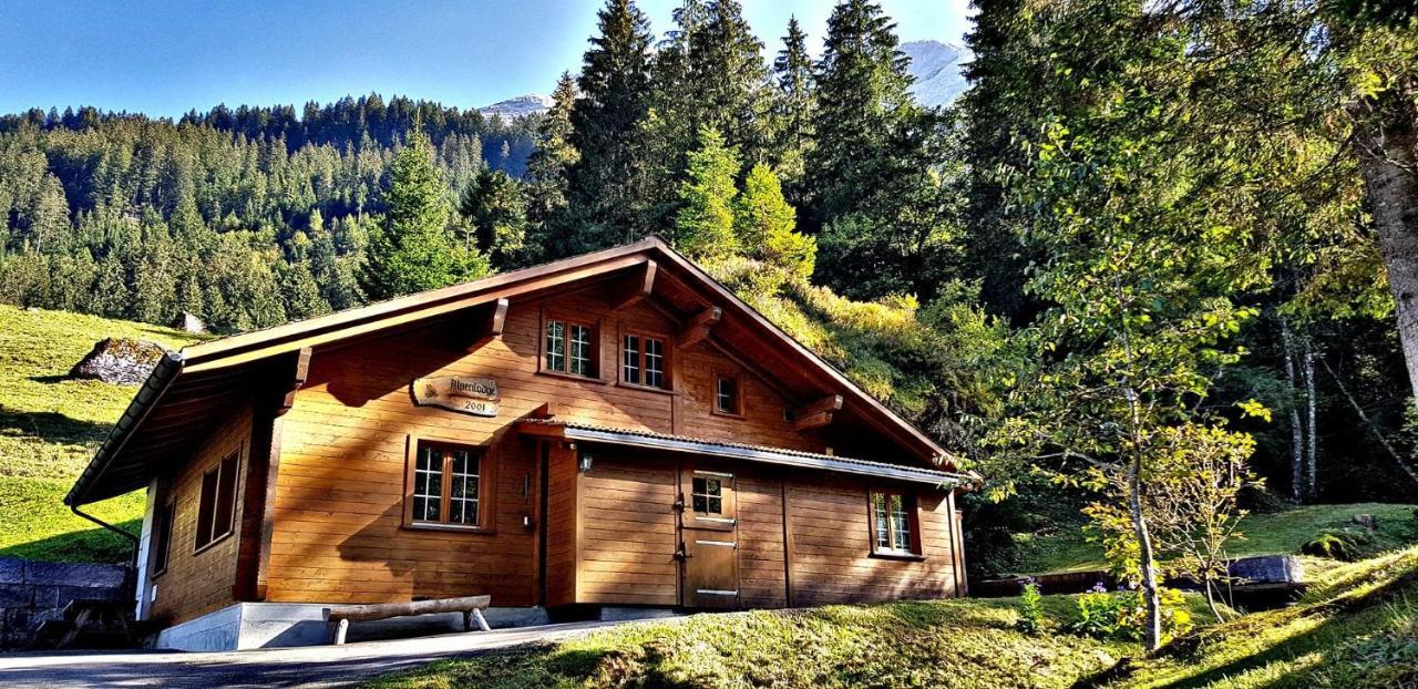 Alpenlodge * Willigen