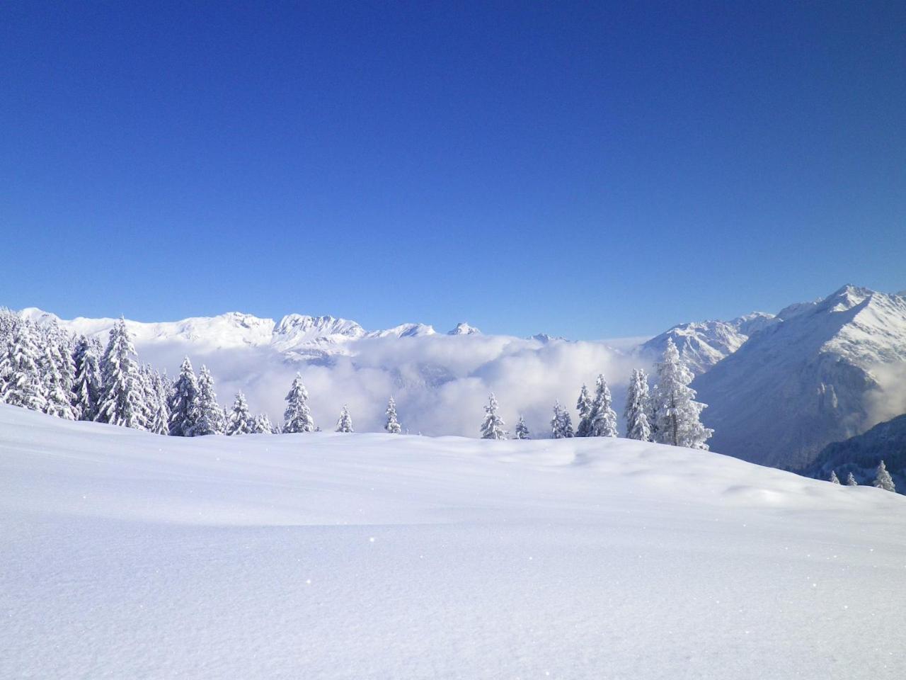 Alpenlodge Willigen