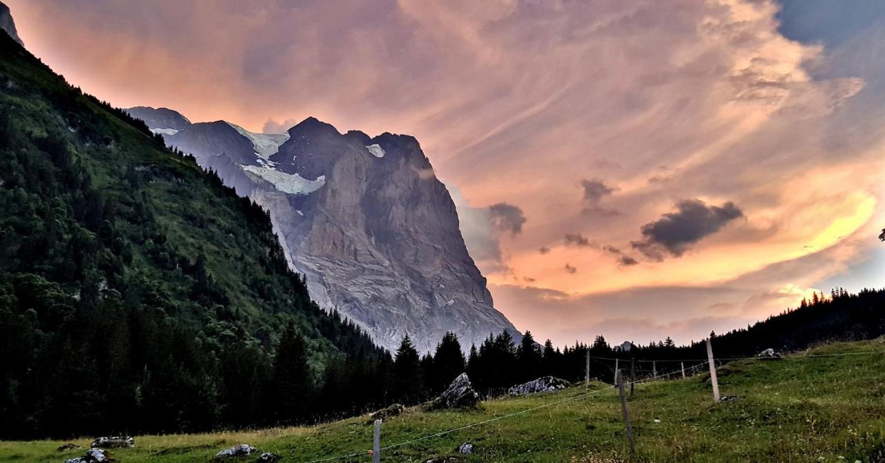Alpenlodge Chalet