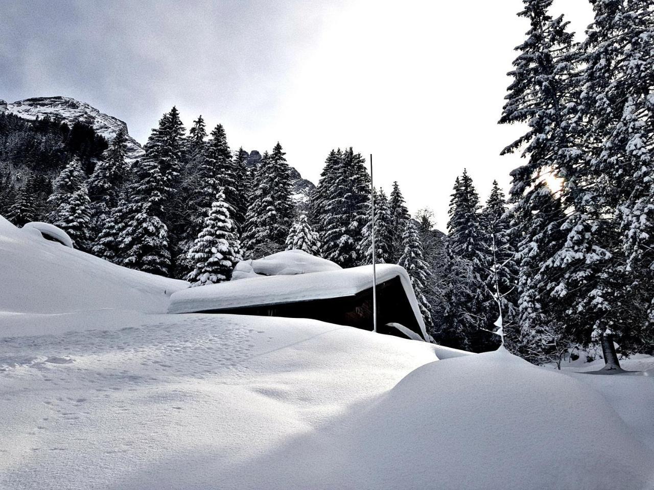 Alpenlodge