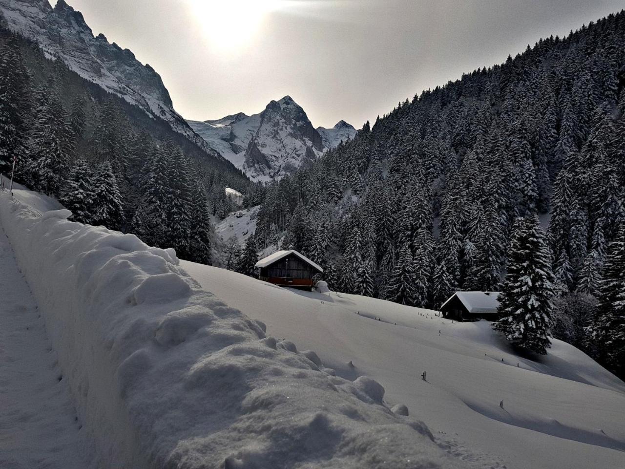 Chalet Alpenlodge Willigen