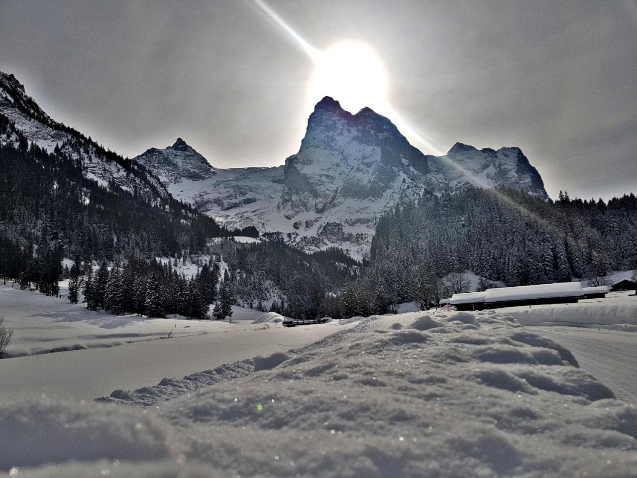 Alpenlodge * Willigen