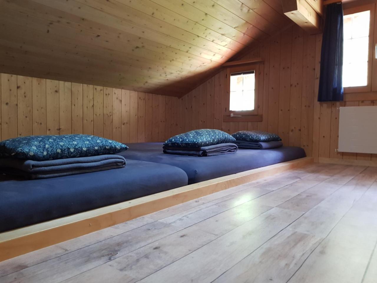 Alpenlodge Chalet Willigen