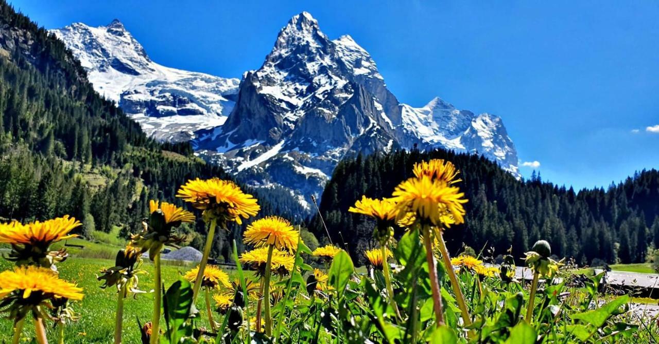 Alpenlodge Willigen
