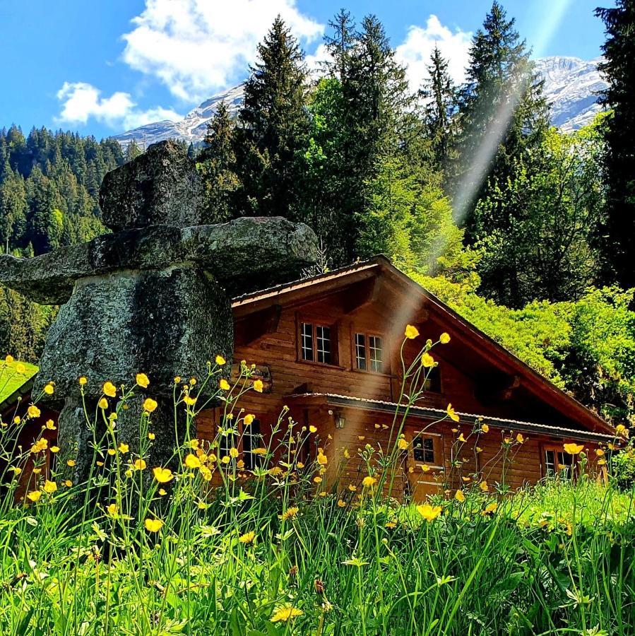 Alpenlodge * Willigen